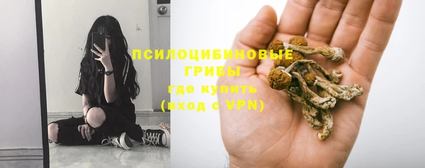 apvp Балахна