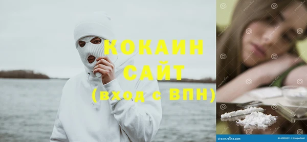 ешки Аркадак