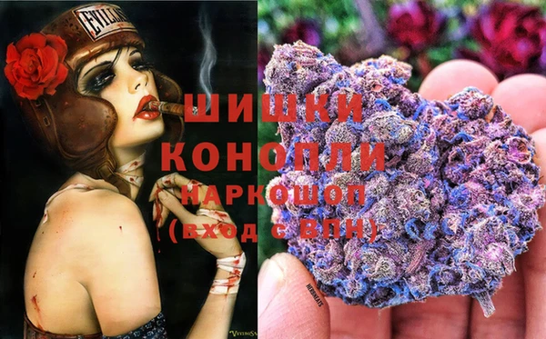 ешки Аркадак