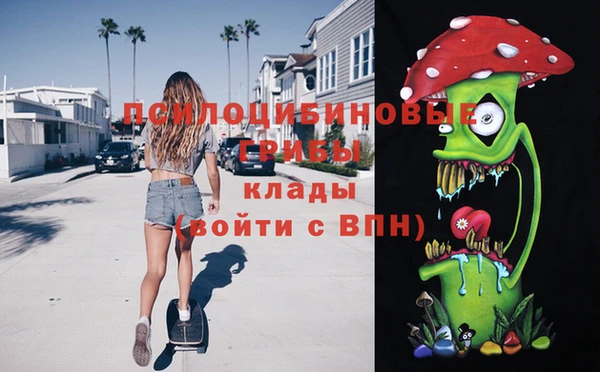 ешки Аркадак