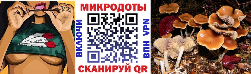 Галлюциногенные грибы прущие грибы Новомосковск