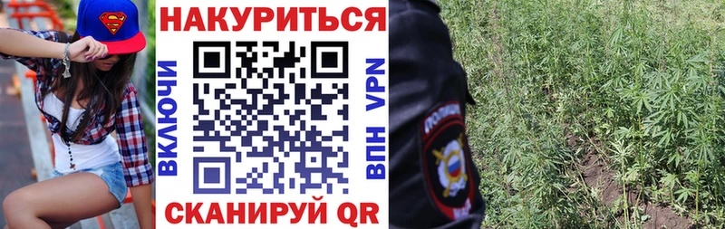 где найти наркотики  Новомосковск  МАРИХУАНА план 